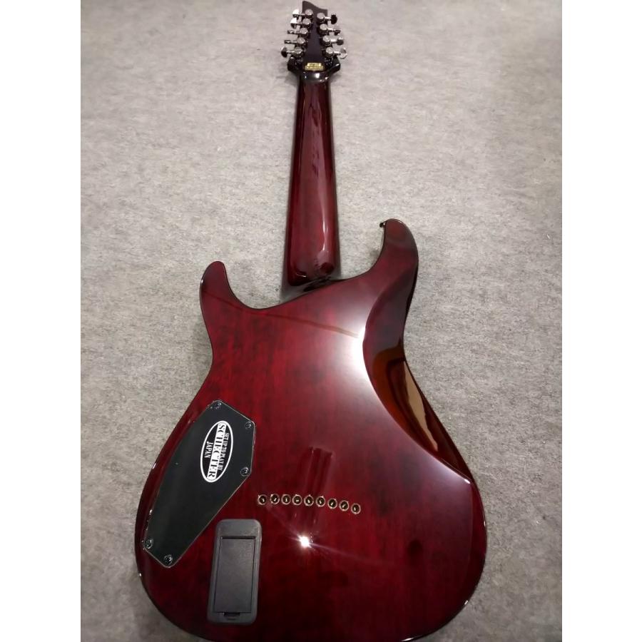 Schecter　HELLRAISER C-9 BCH Schecter Hellraiser C-9 Electric Guitar Black Cherry
