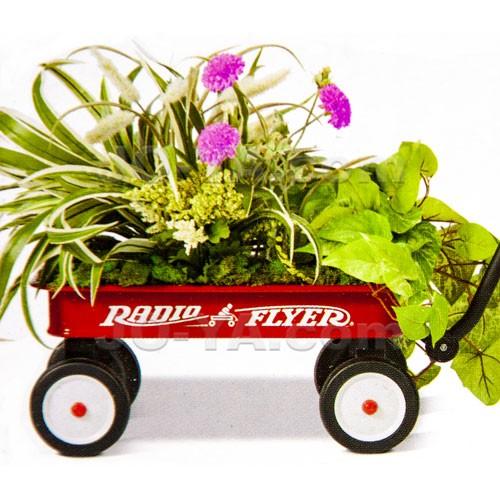 RADIO FLYER my 1st WAGON 旧ロゴ 希少 RADIO FLYER my 1st WAGON 旧