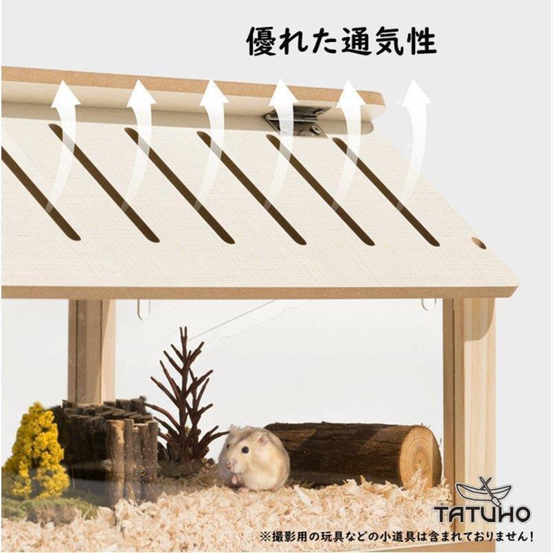 とっとこハム太郎 ハムハムスターターキット スタンダード ハムスター