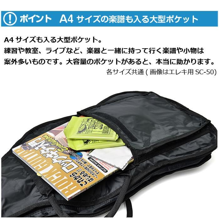 Aria アリア AMB-30S ソフトケース付き ARIA AMB-30S BS エレアコ