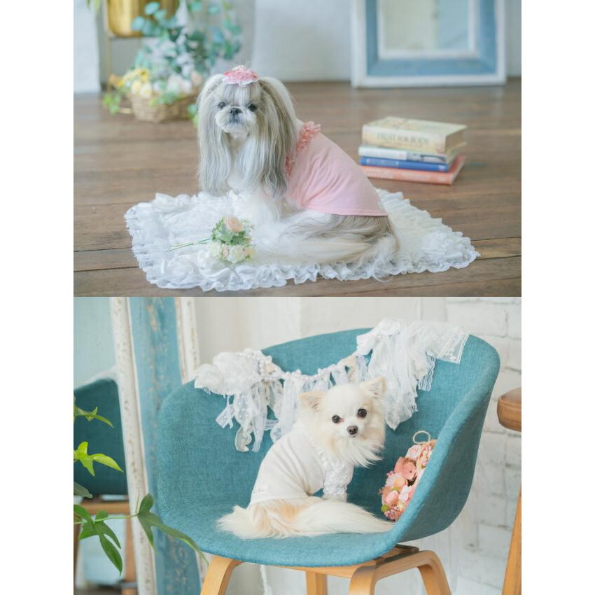 CanNana きゃんナナ 犬服 春 夏 レース切替インナーカットソー SS-L