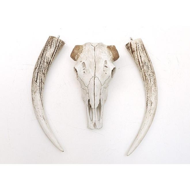 壁飾り 壁掛け オブジェ インテリア スカル バッファロー 水牛 レトロ