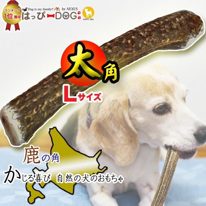 ぶち 鹿の角 (特大～大サイズ)犬用おもちゃ ランダム 2kg 8本 ぶち様