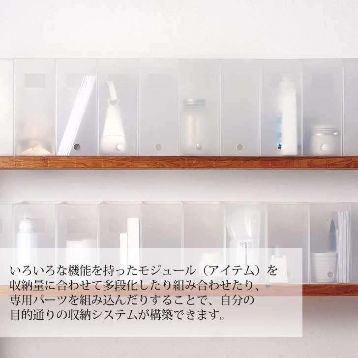 クリアファイル vexy クリアファイル2枚入りセット / Set of 2 clear