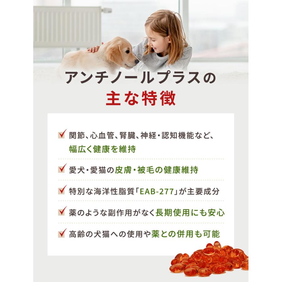 アンチノールプラス 60粒入り : 仁友堂 - 通販 - Yahoo!ショッピング