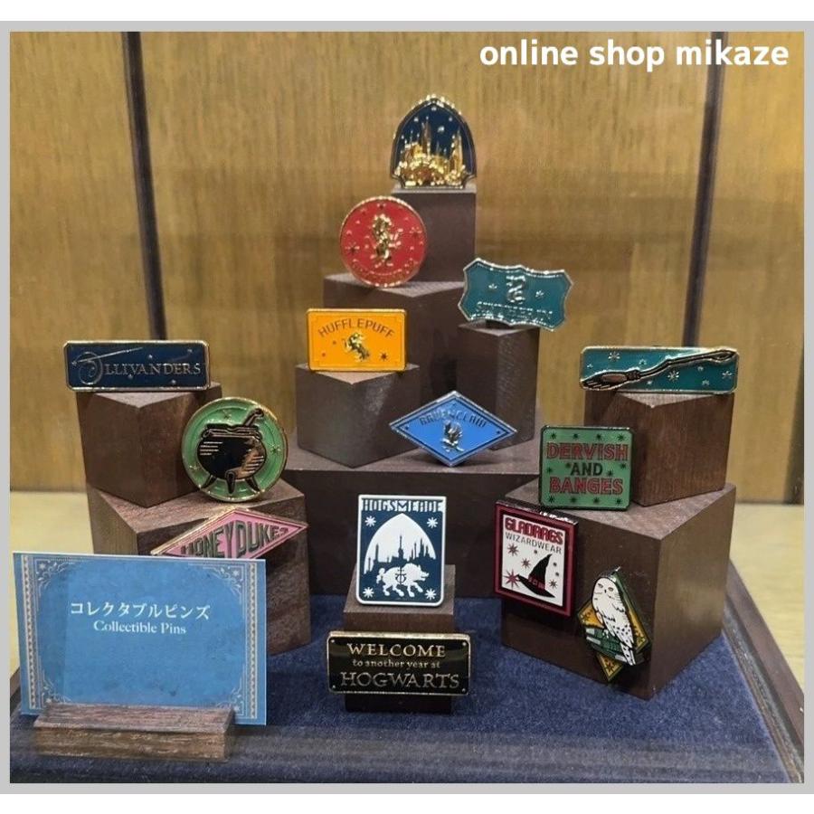 USJ 非売品 ピンバッジセット フレーム・外箱付き コレクタブル