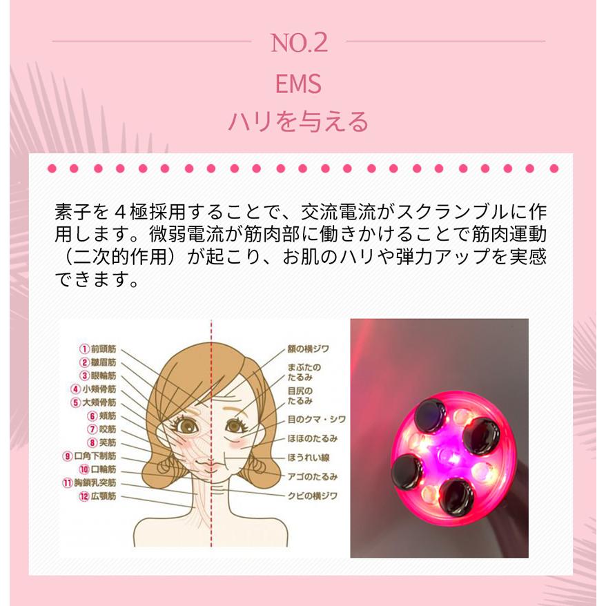 Plamine（プラミネ） CLIONE FIT〜クリオネフィット〜1年保証〜【正規