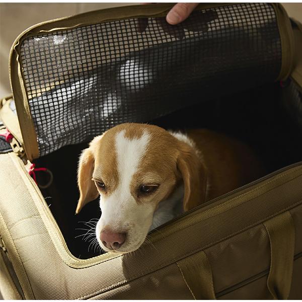 MANDARINE BROTHERS（マンダリンブラザーズ） リニューアルモデル