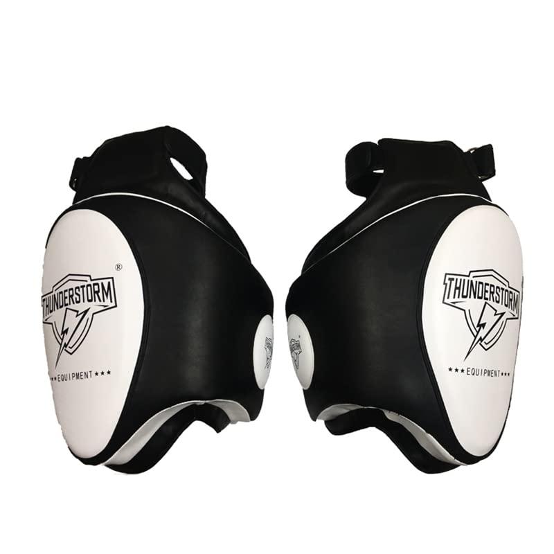 ボクシング 空手 プロテクター ミット 6点セット 36000円相当