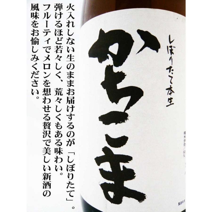 日本酒 勝駒 しぼりたて本生 新酒 1.8L （かちこま） 限定品 : 岡田屋