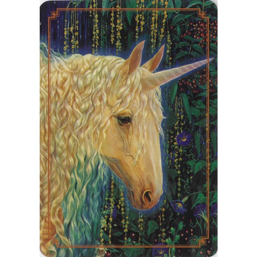 限定版】ユニコーンオラクルカード（シークレットガーデンボックス