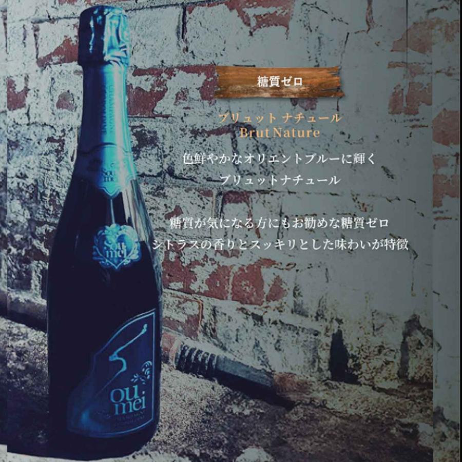 SOUMEI ソウメイ ブリュットナチュール（ブルー） 750ml 正規品 新品