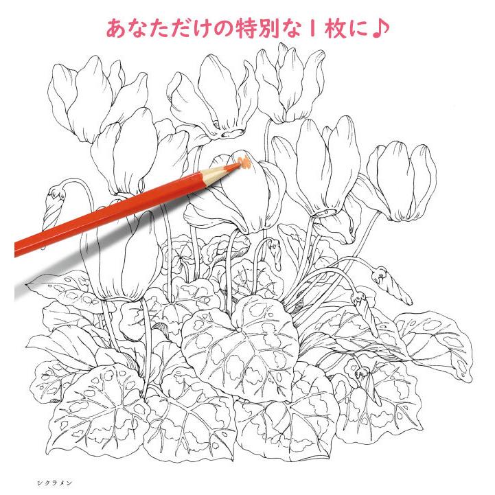 コスミック出版 大人の塗り絵セット 色鉛筆24色付き 新装版 心が