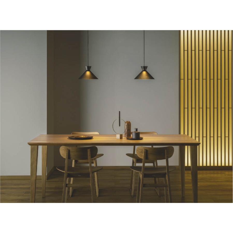 KOIZUMI（コイズミ） AP55540 ペンダントライト LED一体型 非調光 60W