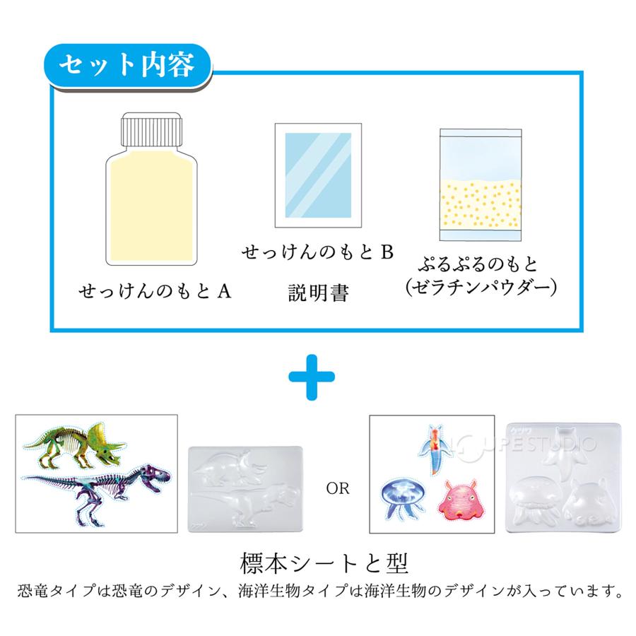 透明標本作製キット】 (上級) 20点 自由研究 学習教材 透明標本の