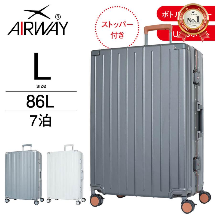 キャリーケース付】STRIDER PRO 軽量！シルバー キャリーケース付き