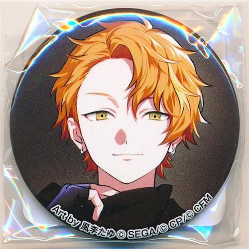 プロセカ 東雲彰人 5B 缶バッジ 24点セット プロセカ 東雲彰人 5B 缶