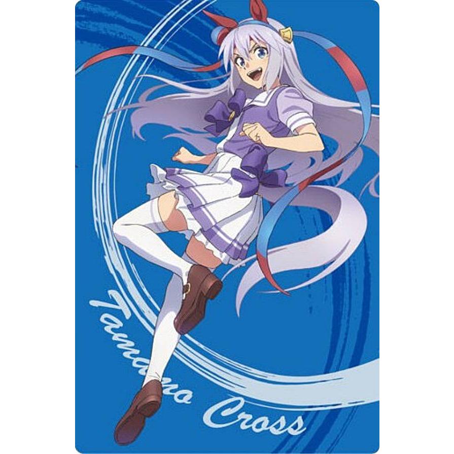 18 タマモクロス(描き下ろし) (R レア) 】アニメ『ウマ娘 シンデレラ