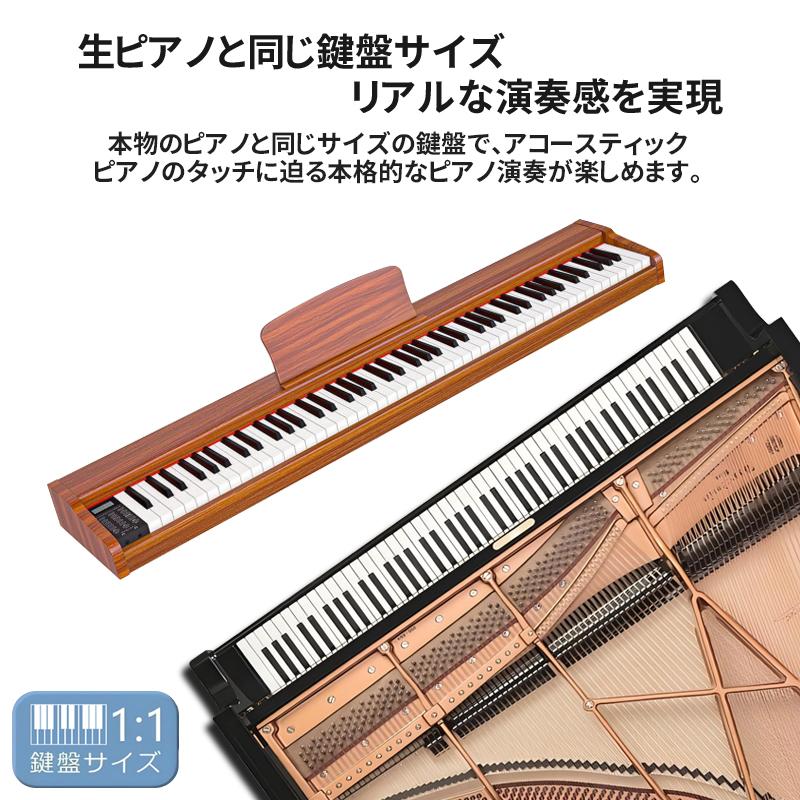 すぎえ ピアノプレーヤー用ソフト3点セット すぎえ ピアノプレーヤー用