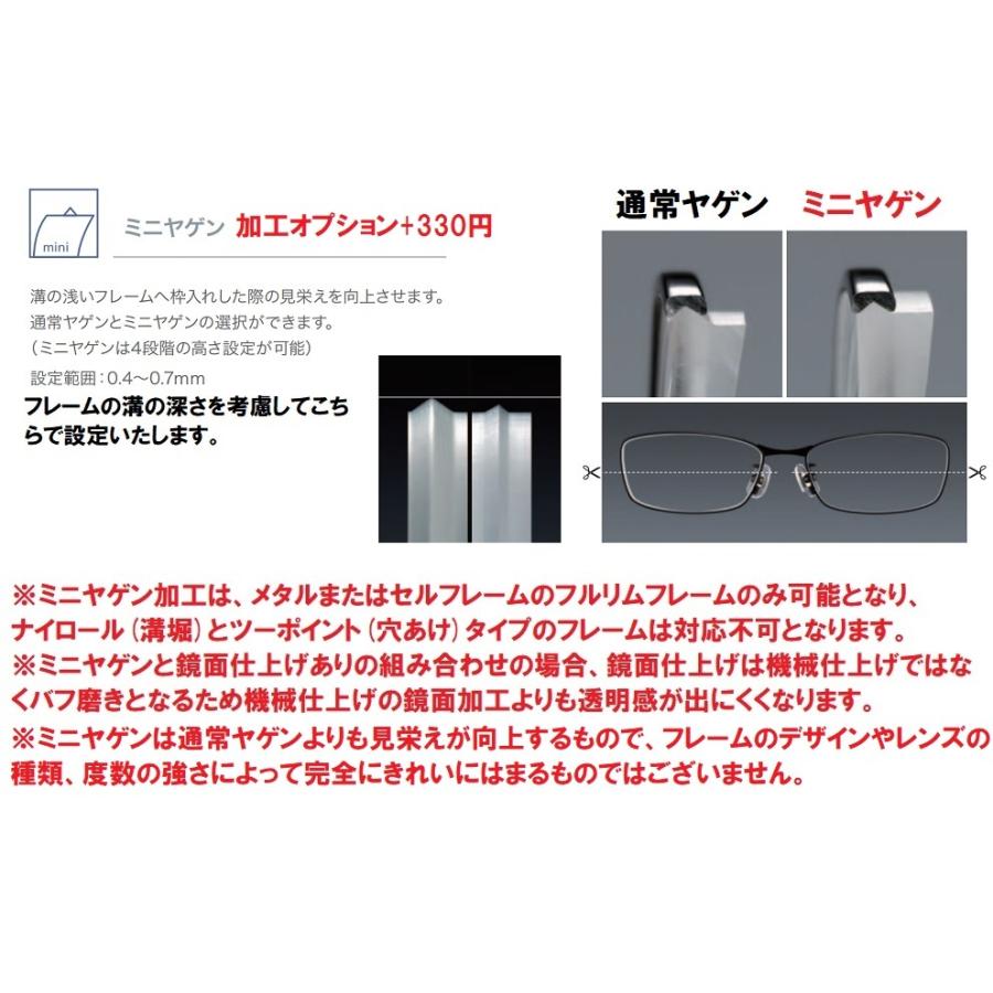 Go 64GB 純正箱付き 楽天市場】BELNA ZX GO TOKAI 東海光学 度付き