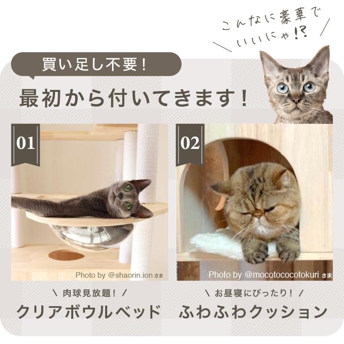 猫アダルト10キロ 【公式通販】