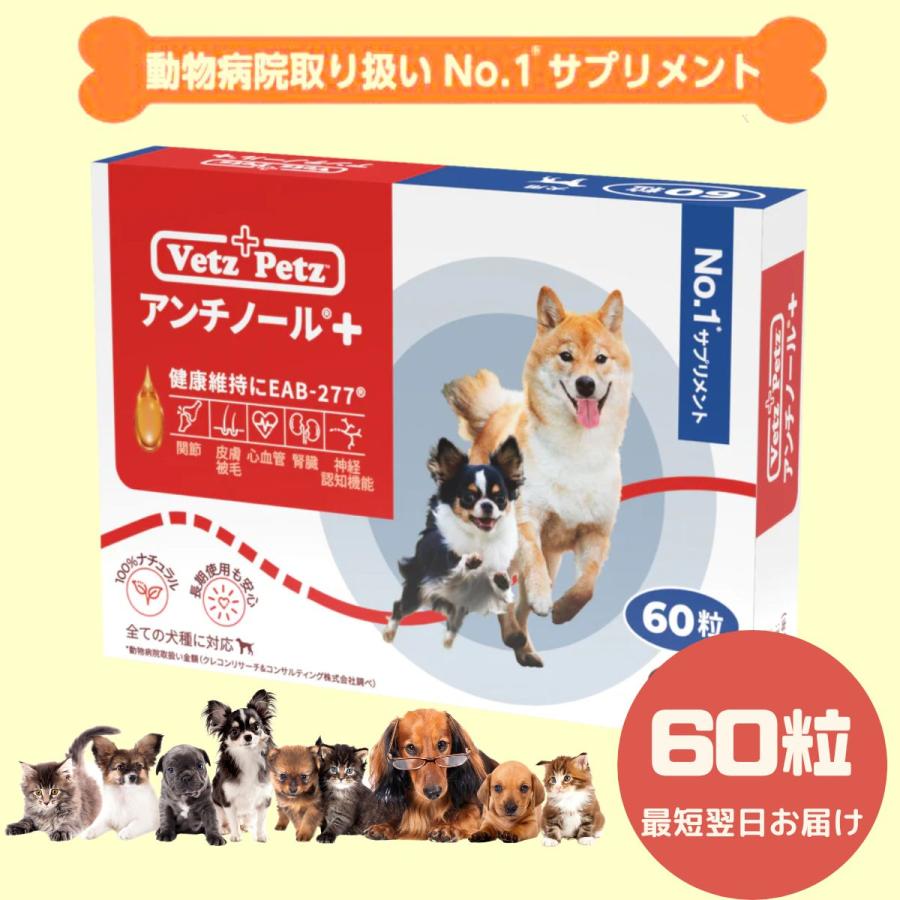 アンチノールプラス 60粒 犬用 2箱 【公式通販】