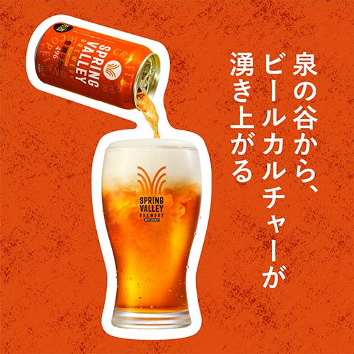 キリン（KIRIN） 計48本(2ケース) スプリングバレー豊潤496 350ml×24本