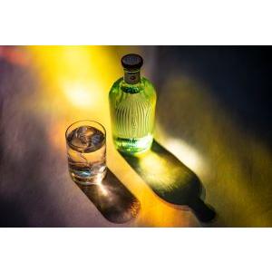 五島の椿 GOTOGIN the origin ゴトジン 47度 500ml ギフトボックス入り