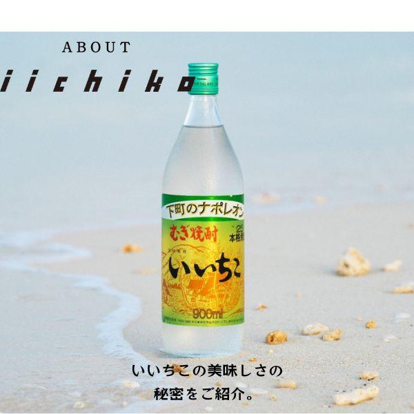 いいちこ25度 いいちこ 焼酎 25度 1.8L 1800ml パック 2ケース 12本 麦