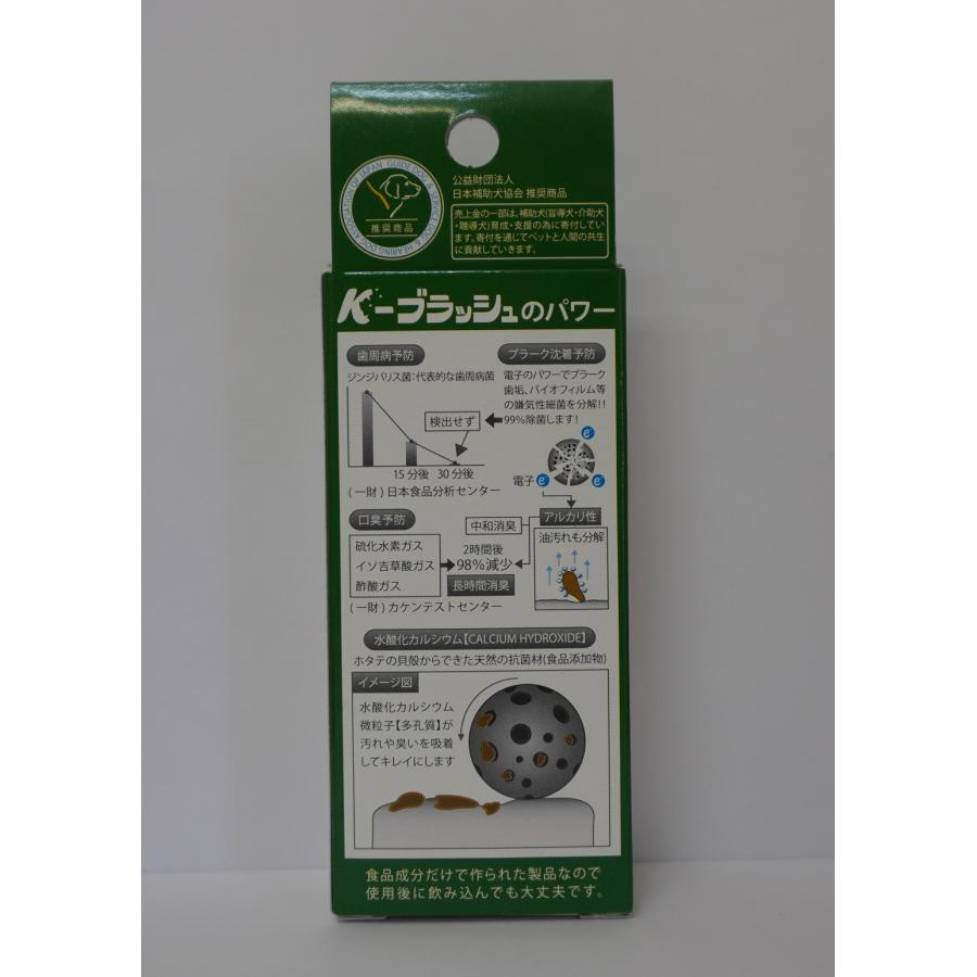 K−ブラッシュL 30ml スプレータイプ (口腔ケア マウスケア 歯磨き