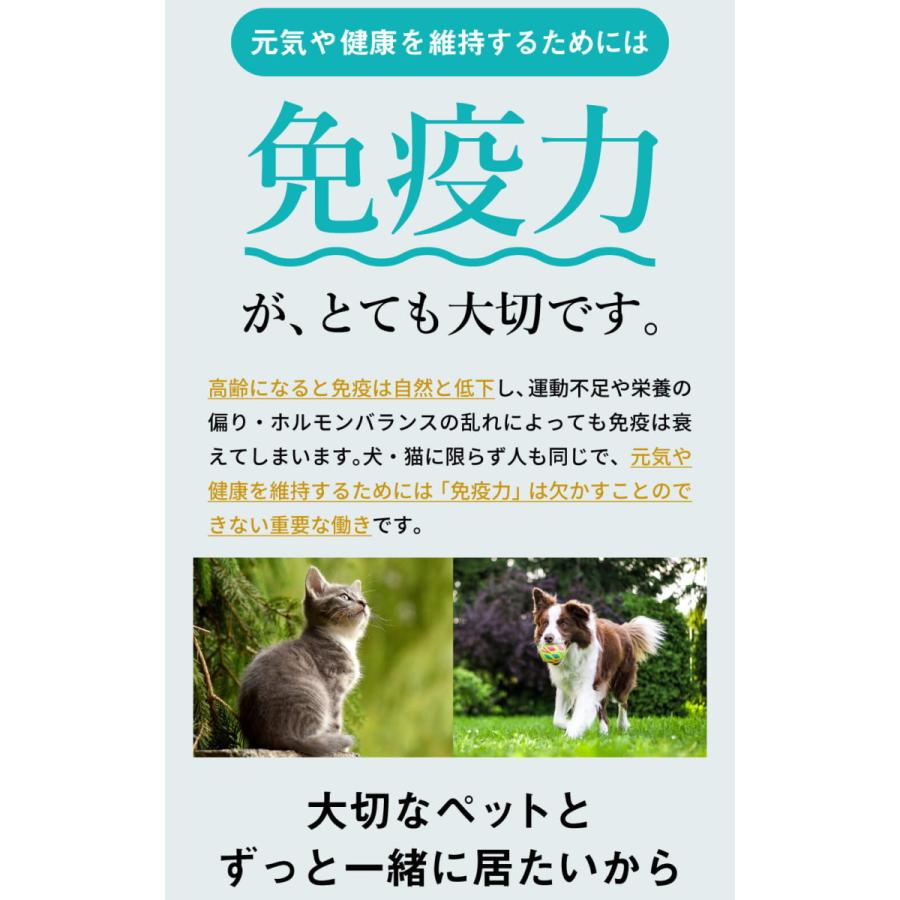 モノリス 犬用 猫用 ペット サプリメント コルディG100g 2個セット