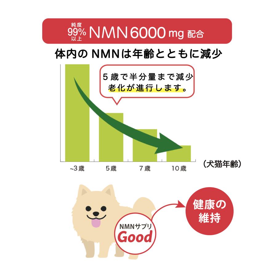 MORE RICH（モアリッチ） 【公式】動物病院取扱 NMN 6000mg Good