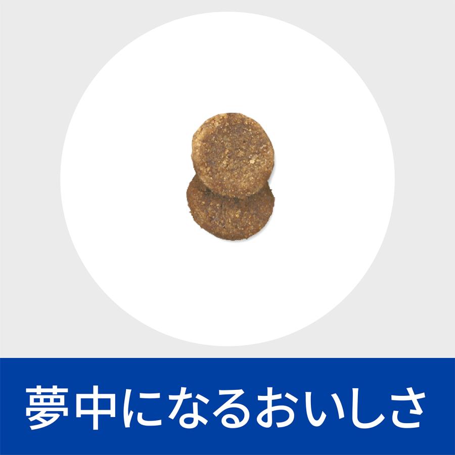 ヒルズ 【2袋セット】ヒルズ 猫用 繊維＆消化ケア 腸内バイオーム