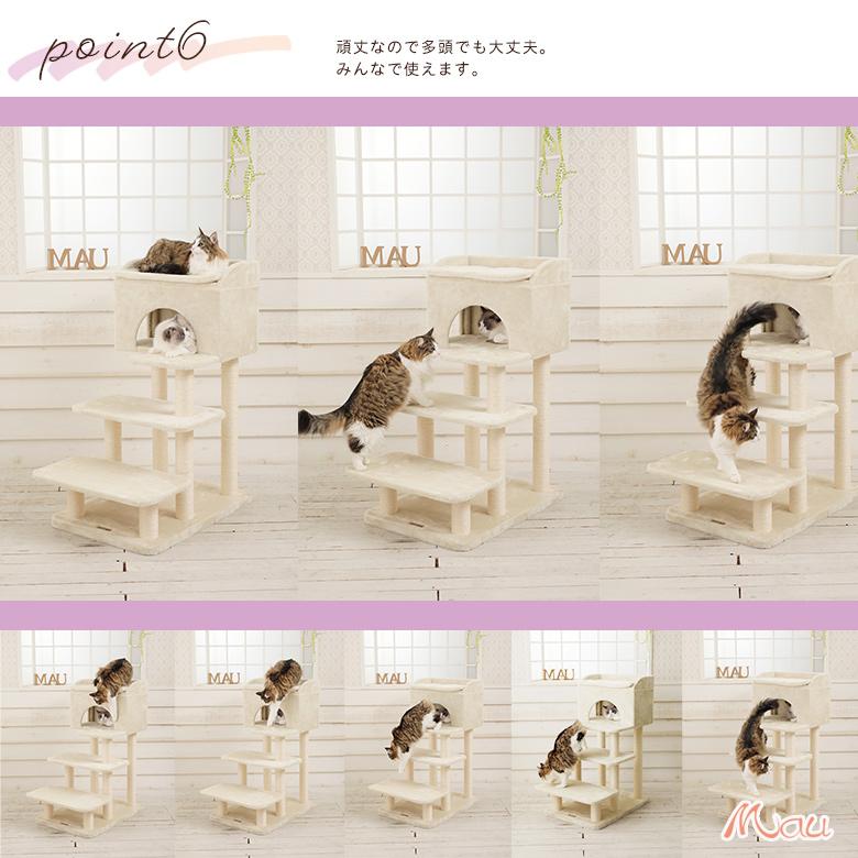Mauタワーシニアエスカリエ】キャットタワー 据え置き シニア 短足 猫