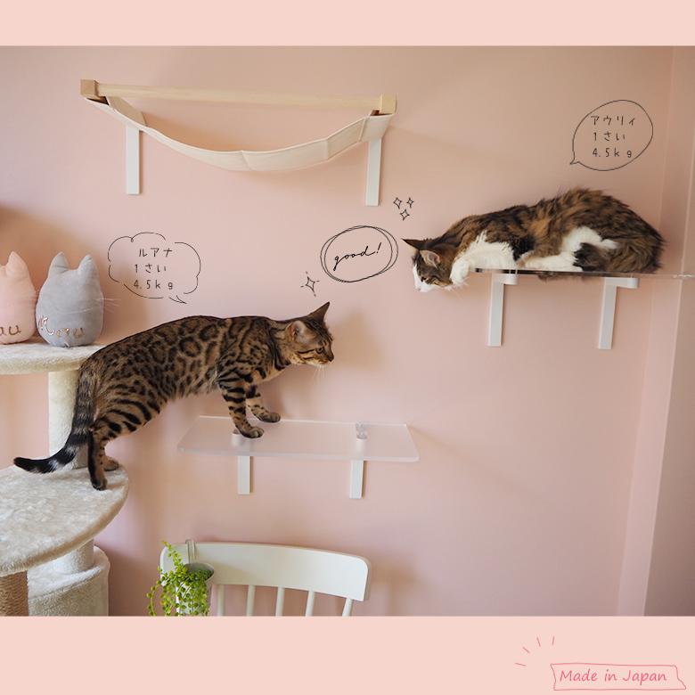 ワイドステップ（クリア）キャットウォーク 賃貸OK DIY 運動不足解消