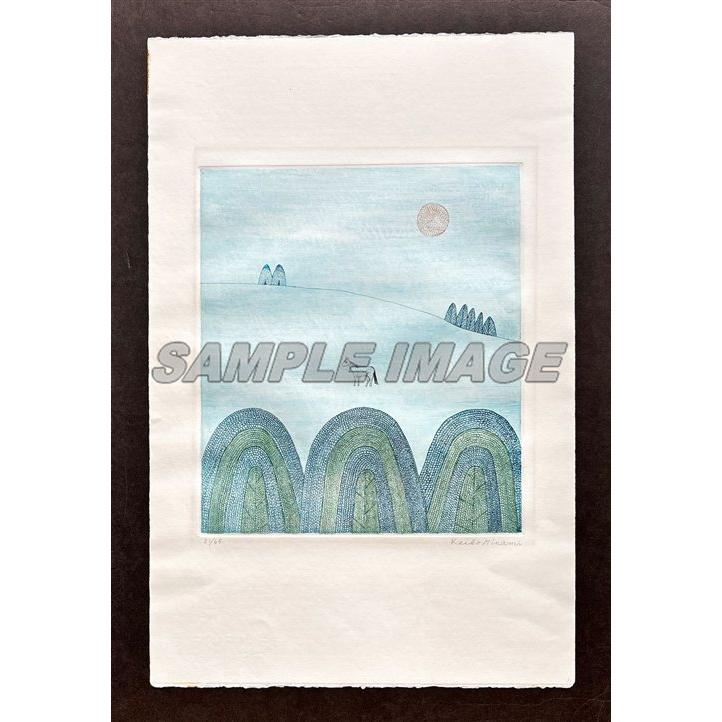 南桂子】みみづく カラーエッチング 限定100部 サイン入 額装済 版画