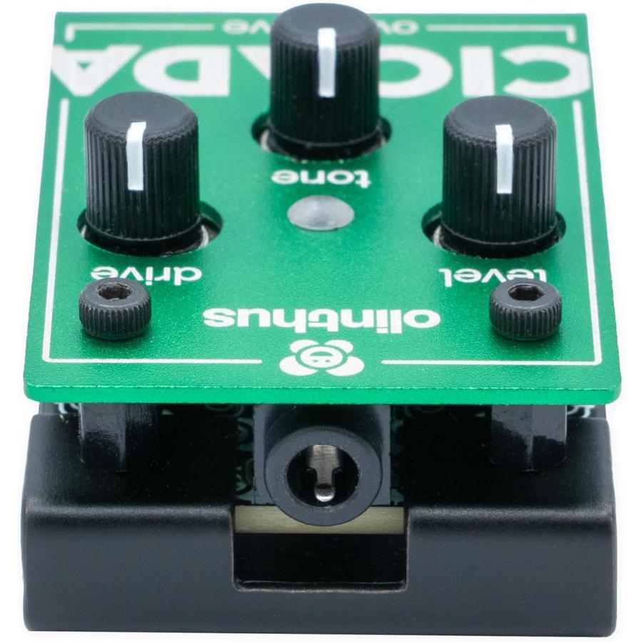 Olinthus オリンサス エフェクター オーバードライブ Cicada [入出力用