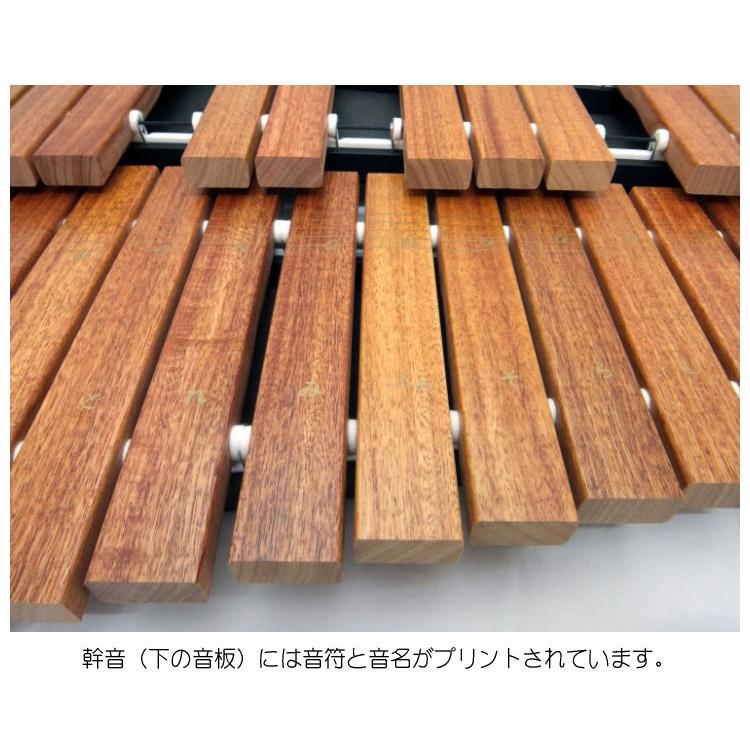 翠 琴 ケース付き 翠 琴 ケース付き 翠 琴 ケース付き