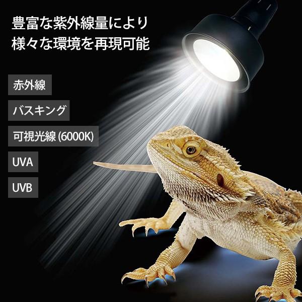 ゼンスイ ソラリウム メタルハライドランプ 35Wセット (HIDランプ＋