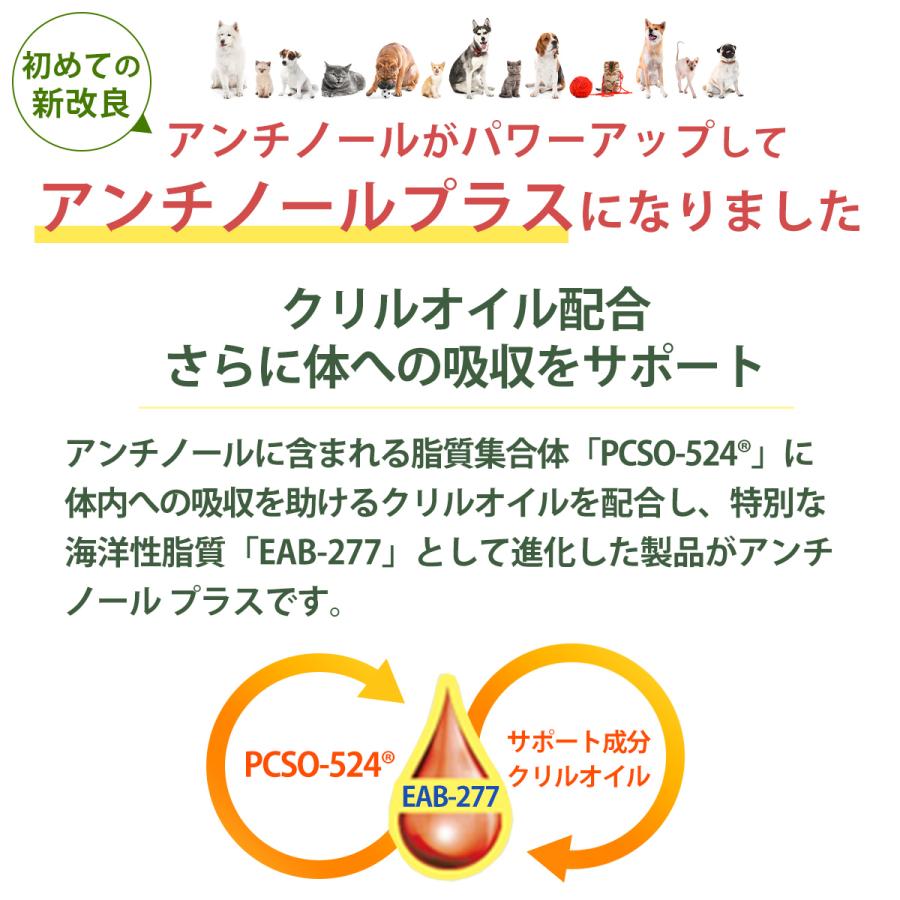 アンチノール プラス 犬用 90粒 アンチノールplus 犬用サプリメント