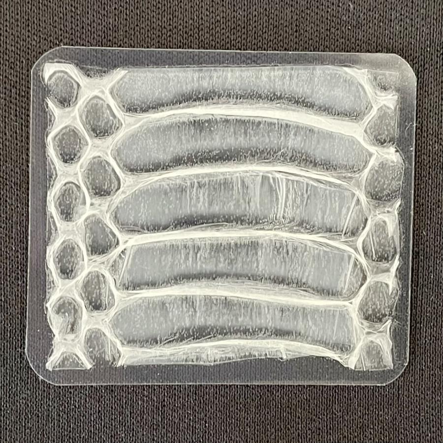 白蛇 ラミネート加工 【腹】 抜け殻 祈願 ご利益 縁起物 財布 金運