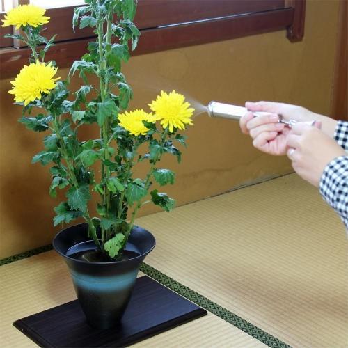 メール便対応] 生け花 用 霧吹き 大 水揚げ器 水差し 華道 道具 用品