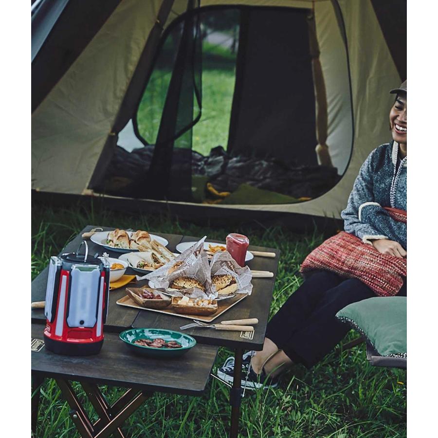 Coleman（コールマン） マスターシリーズ バタフライテーブル90 : 通販