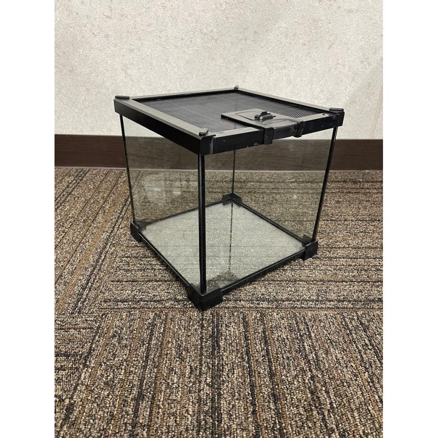 爬虫類 飼育ケース 20×20×20 ガラス 昆虫飼育ケース クモ サソリ