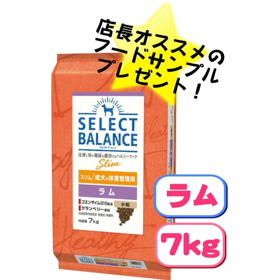 SELECT BALANCE セレクトバランス スリム ラム 小粒 成犬の体重管理用