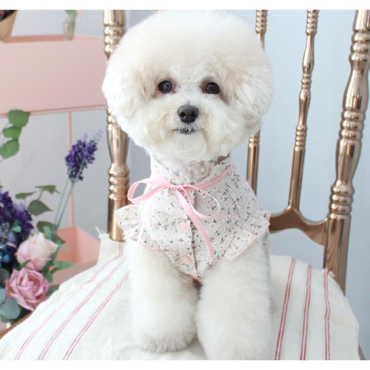 犬服 S わんこの普段着 大きな花 犬服 S わんこの普段着大きな花