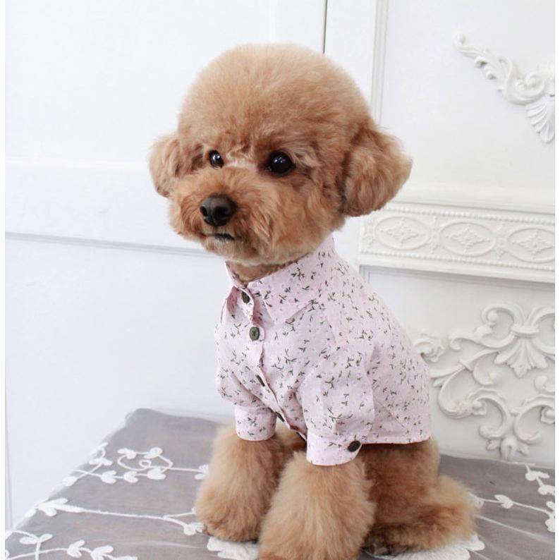 犬服 3S わんこの普段着 オレンジとペールブルーの花 犬服 3S わんこの