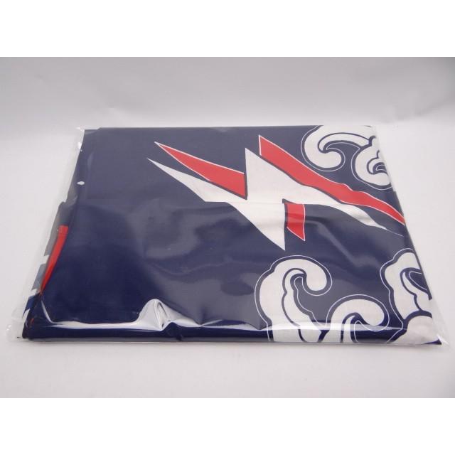 サザンオールスターズ2000年茅ヶ崎ライブ 法被と手ぬぐいセット