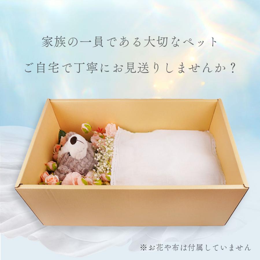 ペット用 棺 棺桶 葬儀 ダンボール製 当日発送 小型犬 中型犬 猫