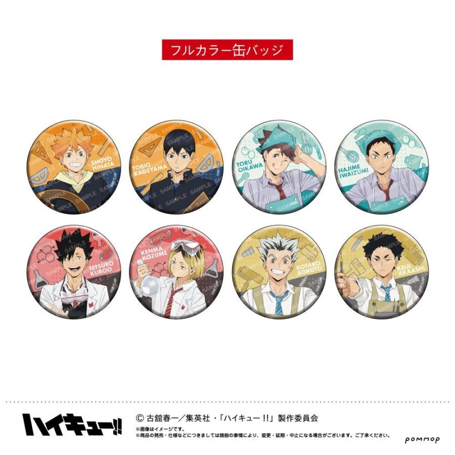 ハイキュー 缶バッジコレクション 2026/03発売 [グッズ]/ハイキュー